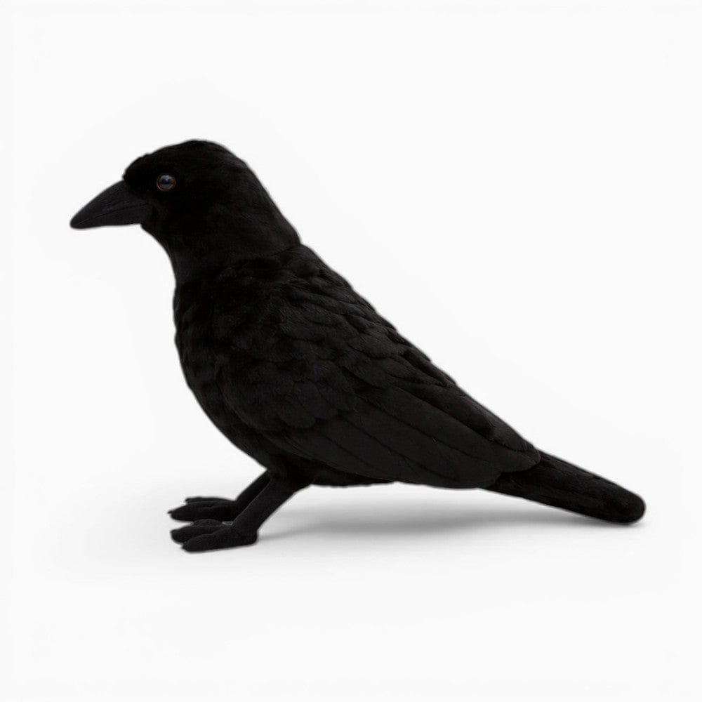 Black Halloween Decorative Raven Plush Oh My Plushie