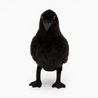 Black Halloween Decorative Raven Plush Oh My Plushie