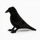 Black Halloween Decorative Raven Plush Oh My Plushie