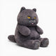 Chubby Grey Cat Plush Oh My Plushie