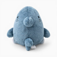 Colourful Kawaii Shark Cat Plush Oh My Plushie
