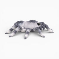 Colourful Soft Decoration Spider Plush Oh My Plushie