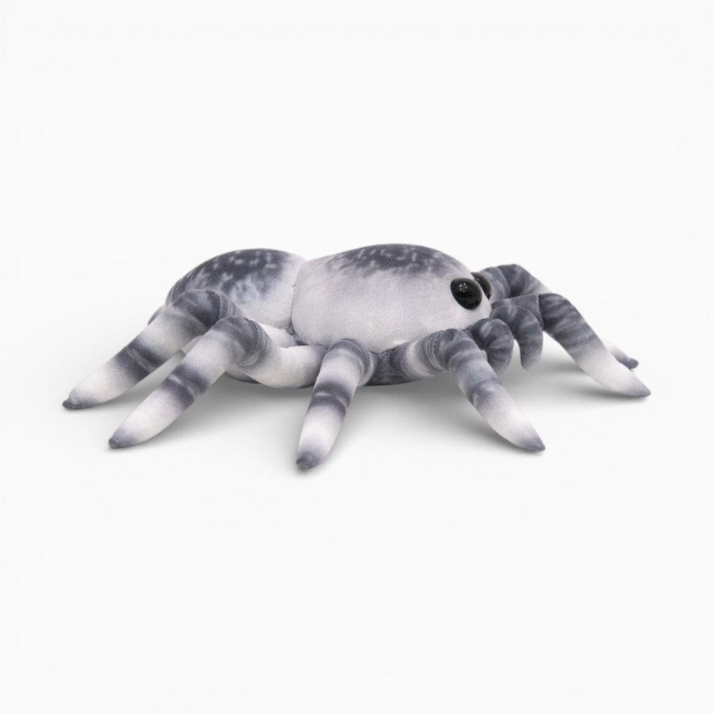 Colourful Soft Decoration Spider Plush Oh My Plushie