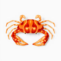 Realistic Crab Plush Oh My Plushie