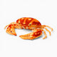 Realistic Crab Plush Oh My Plushie