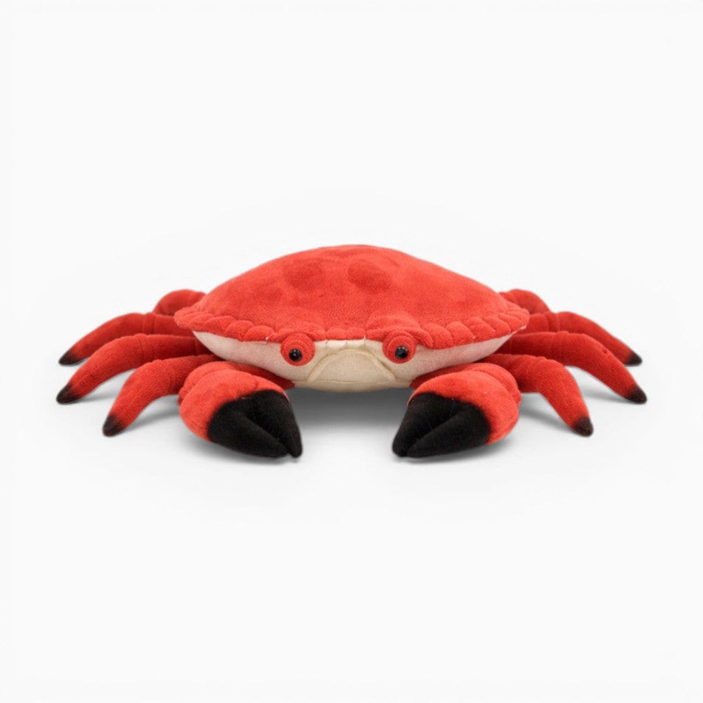 Realistic Crab Soft Toy Oh My Plushie