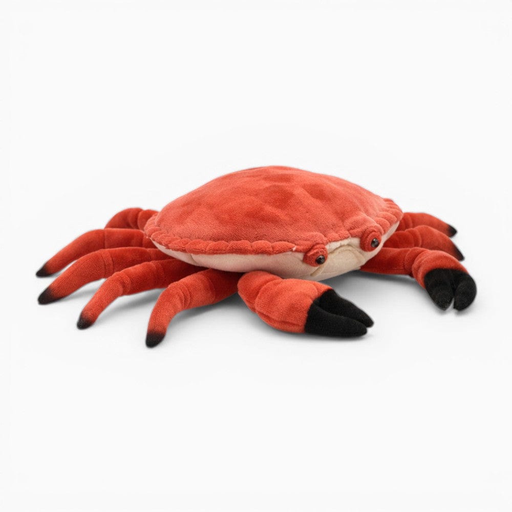Realistic Crab Soft Toy Oh My Plushie
