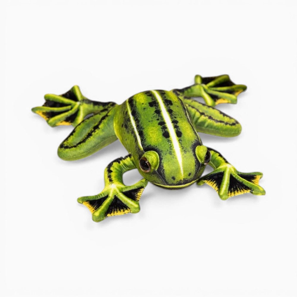 Realistic Green Yellow Soft Frog Plush Oh My Plushie