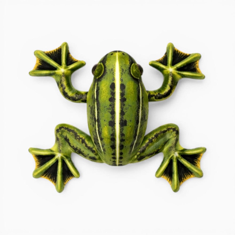 Realistic Green Yellow Soft Frog Plush Oh My Plushie