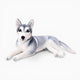 Realistic Lying Husky Plush Oh My Plushie