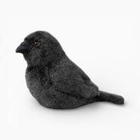 Realistic Raven Plush Oh My Plushie