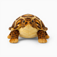 Realistic Sea Turtle Plush Oh My Plushie