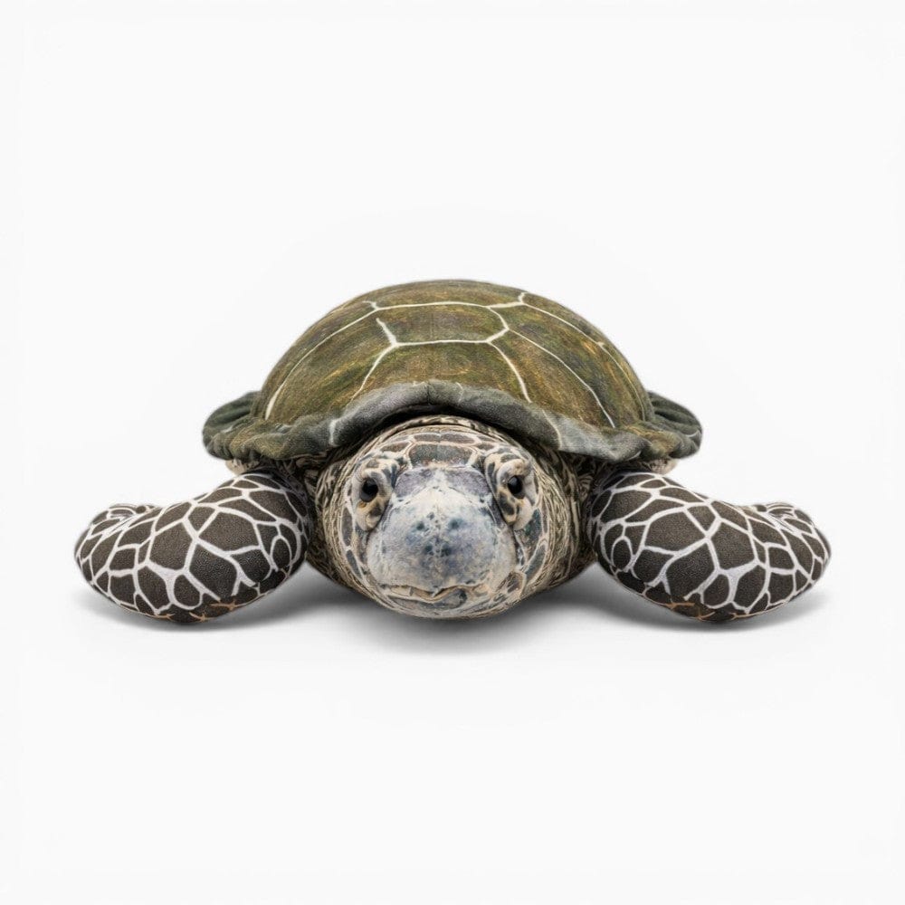 Sea Turtle Plush Oh My Plushie