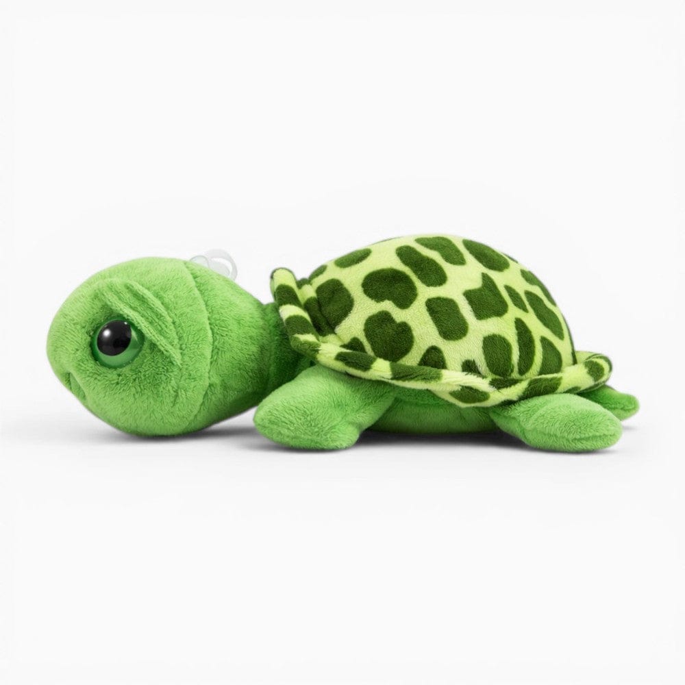 Turtle Plush with Large Eyes Oh My Plushie
